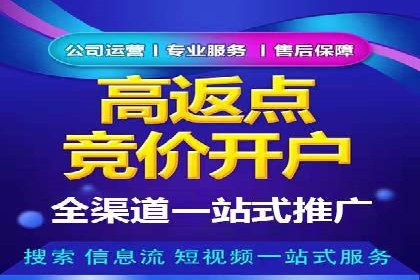 百度SEO推广公司案例：如何快速提升网站排名