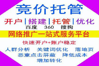 谷歌竞价实战：低成本高回报的广告投放