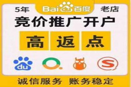 百度推广秘籍：案例与技巧